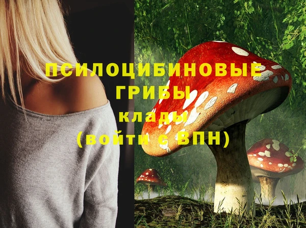 Альфа ПВП Лиски