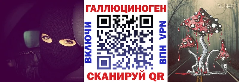 Купить закладки  Пудож  Псилоцибиновые грибы Cubensis 