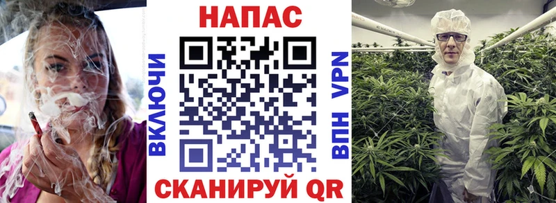 Купить  Пудож  Конопля планчик 